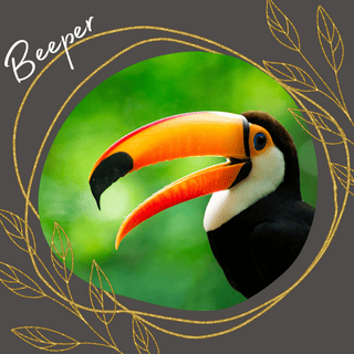 Beeper Backend Developer