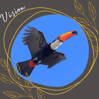 Vision CEO